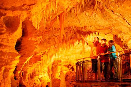 ruakuri-cave-waitomo